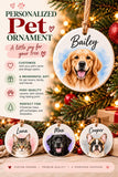 Pet Memorial Christmas Ornament, Personalized Pet Name Ornament in Heaven, Custom Dog Cat Memorial Gift, Rainbow Bridge - ...