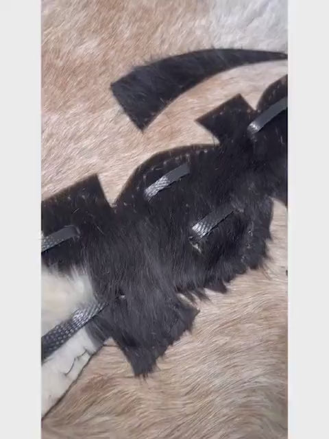 akupe nigerian igbo and edo traditional hand fan for men, African Hand Fan cow hide royalty fan nigerian wedding fan Igbo Hand Fan AKUPE nigerian igbo groom igbo wedding fan Animal Skin Hand Fan igbo edo groom igbo hand fan african groom wedding hand fan Nigerian groom african wedding gift