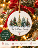 Personalized Family Christmas Gift, Custom Family Name Ornament 2026, Unique Ceramic Christmas Ornament, Gift for Family -...